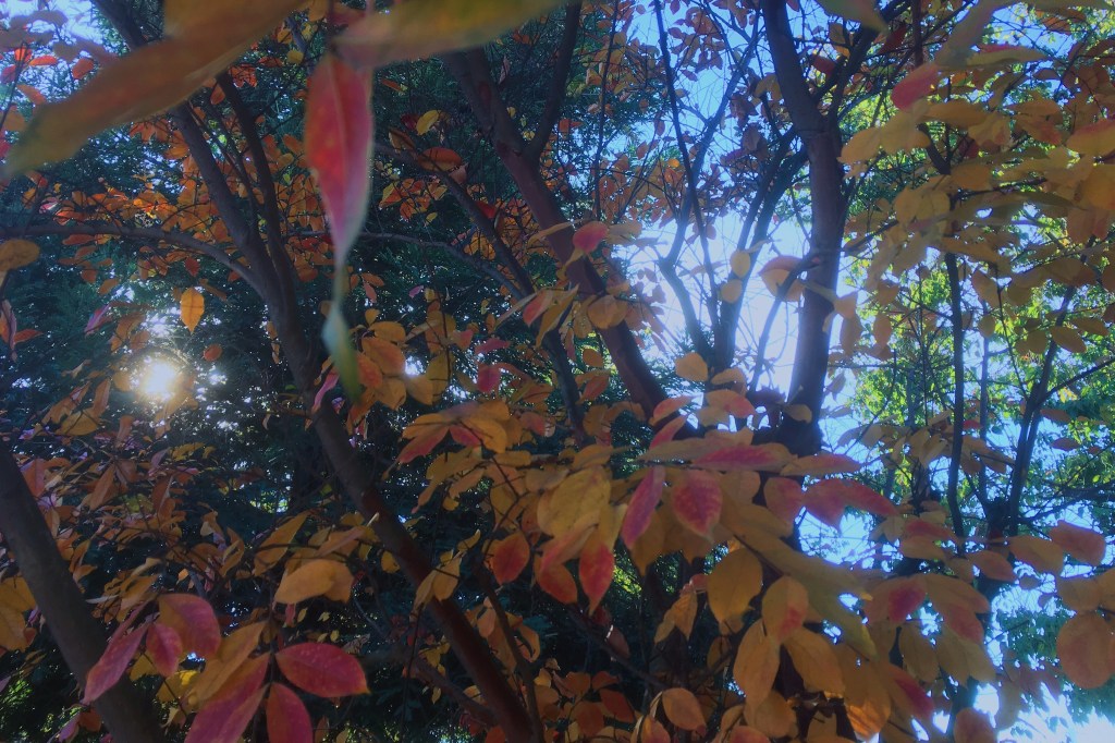 High School Relationships