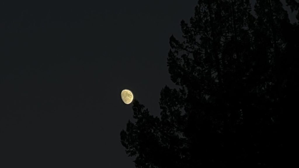 The Moon Over the Lake