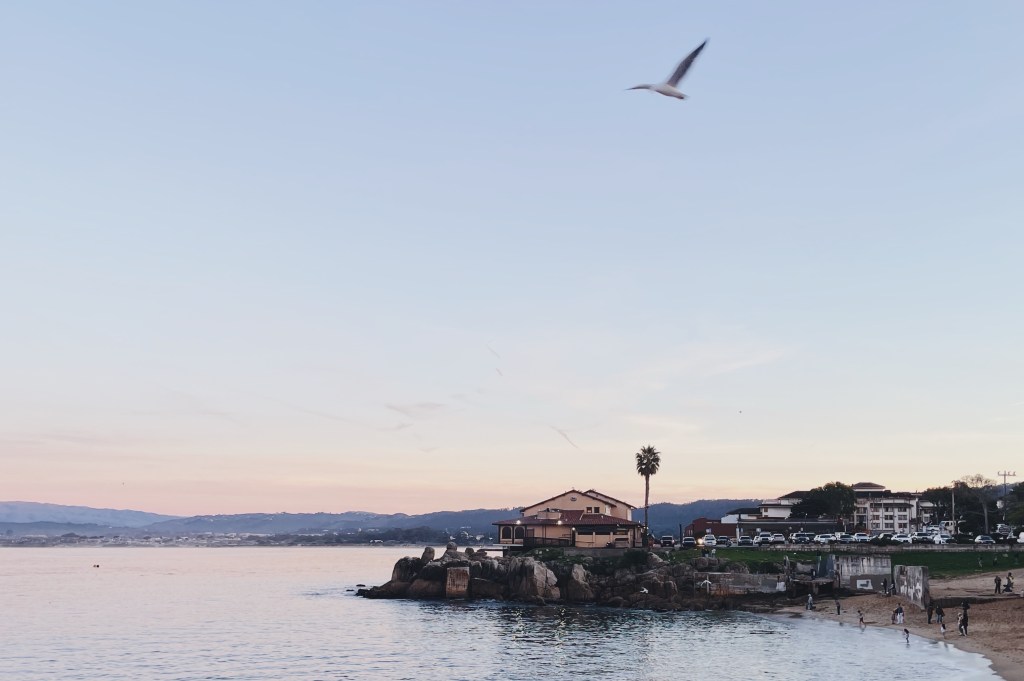 Stuck in Forward Motion