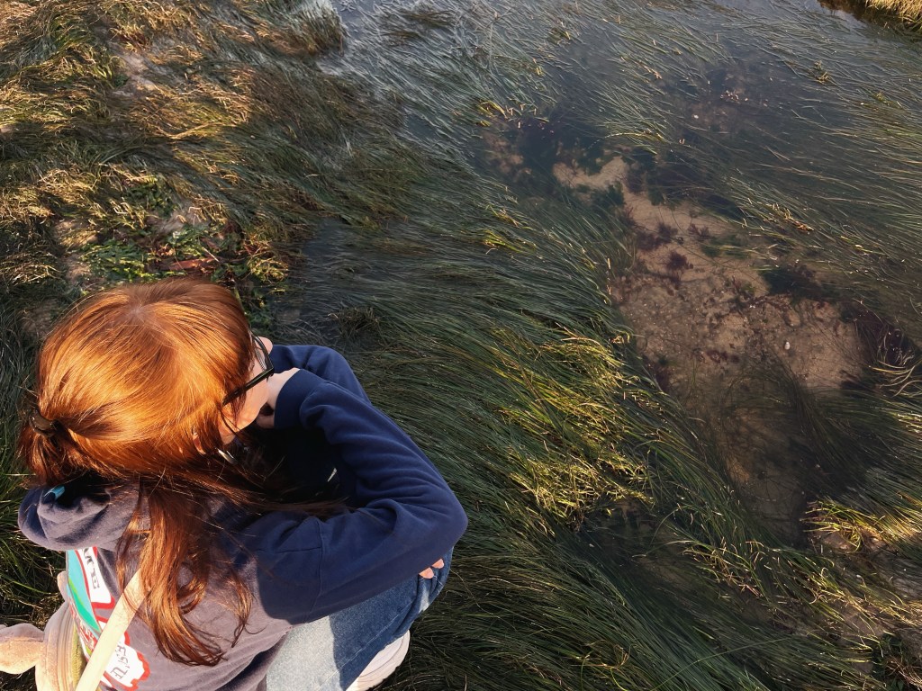 An Irish Exit: Leaving the Light&nbsp;on